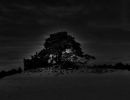 dsc0848993