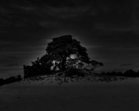 dsc0848993