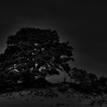 dsc08514