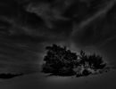 dsc08806