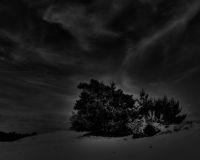 dsc08806