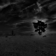 dsc08826