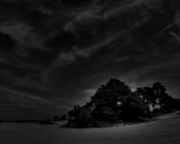 dsc08899
