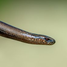 dsc04015