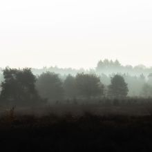  dsc5661