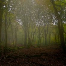 dsc05601