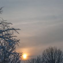 dsc09578