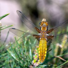  dsc4759