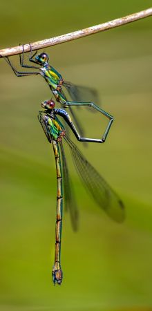  dsc7108