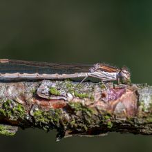 dsc08939