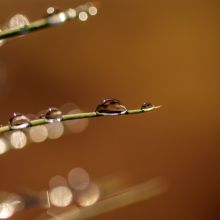 dsc00190