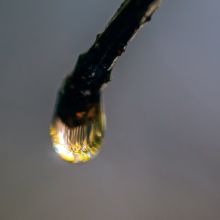 dsc07752