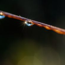 dsc09231