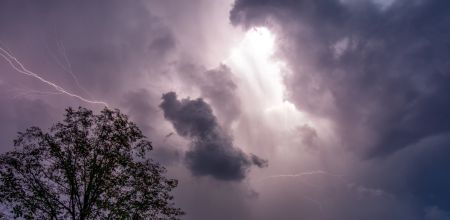 dsc00919