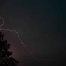dsc05244