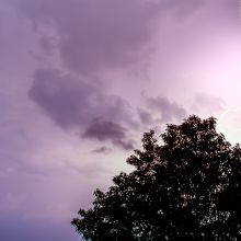 dsc07222