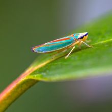  dsc1288