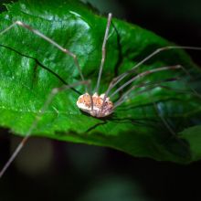 dsc03586