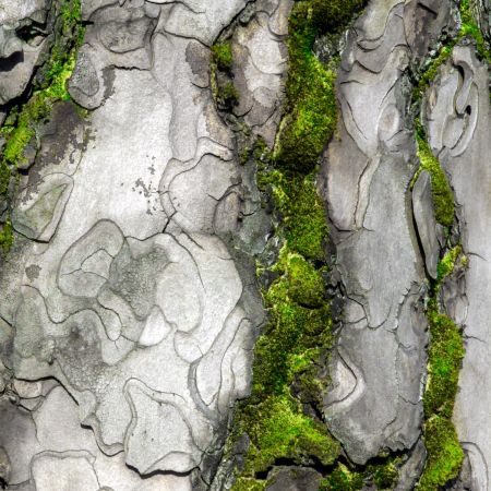  dsc7842