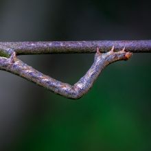  dsc0472