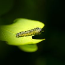 dsc0727