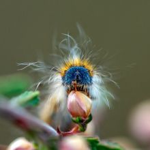  dsc3082