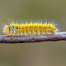  dsc5924