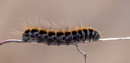  dsc6296