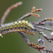  dsc9180