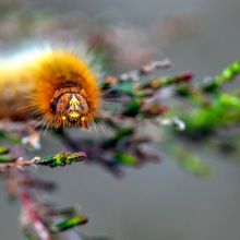  dsc9390