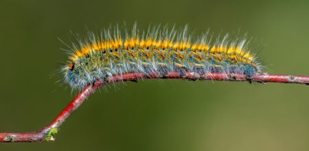 dsc05198
