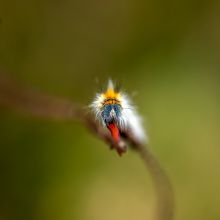 dsc05209