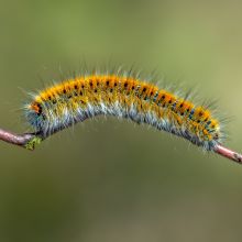 dsc05292