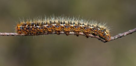dsc05440