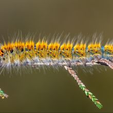 dsc05635
