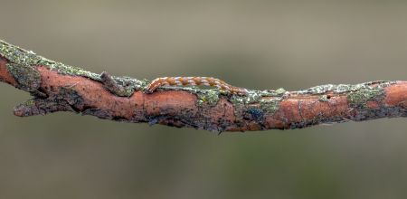 dsc07885