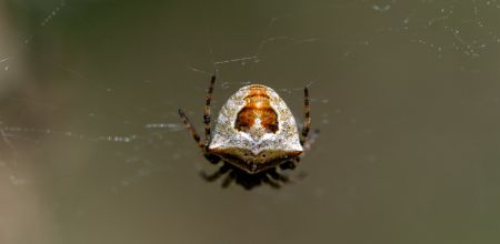  dsc4537