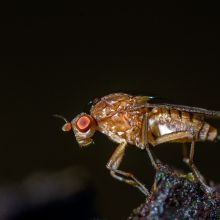  dsc2853