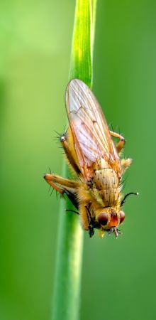  dsc4543