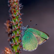  dsc4592