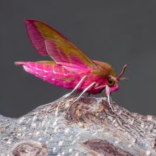 dsc09512