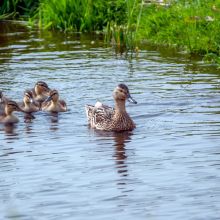 dsc06058