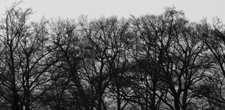 dsc00031