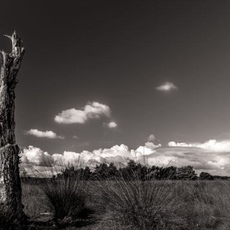 dsc01951