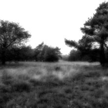 dsc08463
